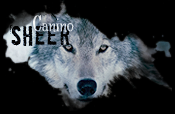 Sheer - Canino Sheer - Canino