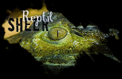 Sheer - Reptil Sheer - Reptil
