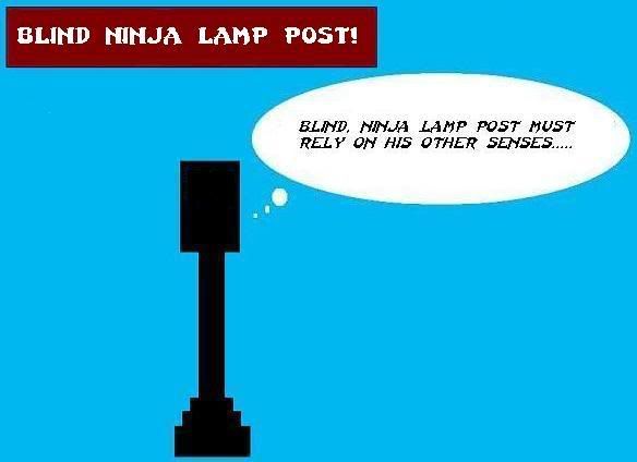 ninja lamp