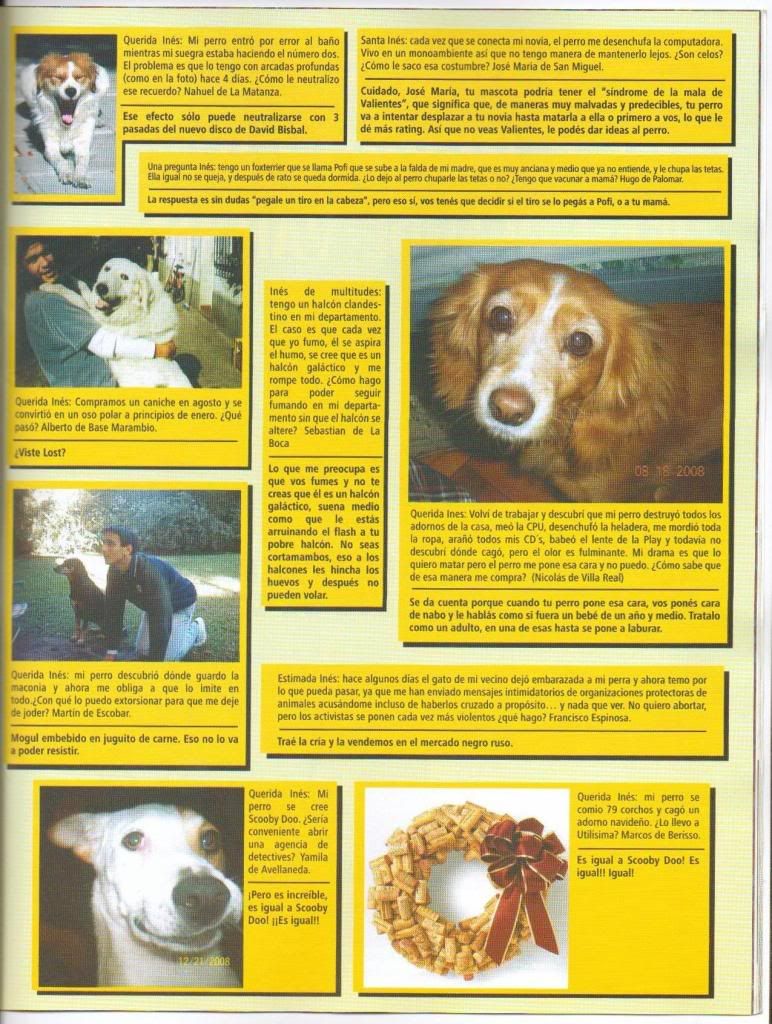 revista revista