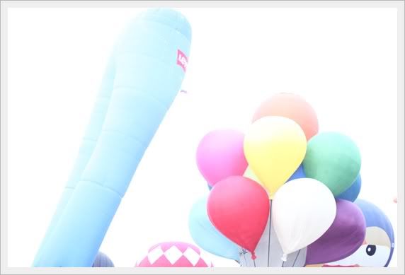 hot air ballon fiesta
