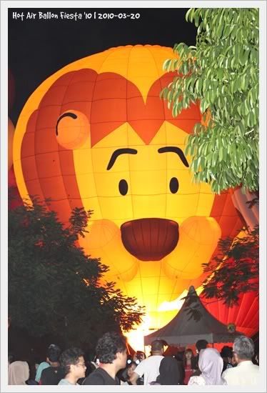hot air ballon fiesta 2010