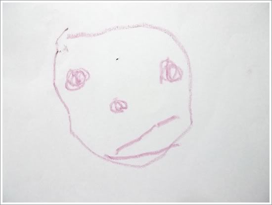 Baby's portrait