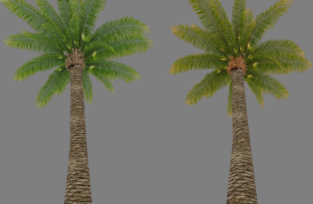 Palm_ab2.png