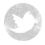  photo twittersoftcopy.jpg