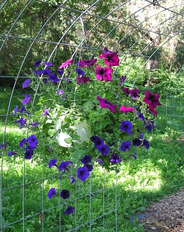  photo UltraBBlueTidal.jpg