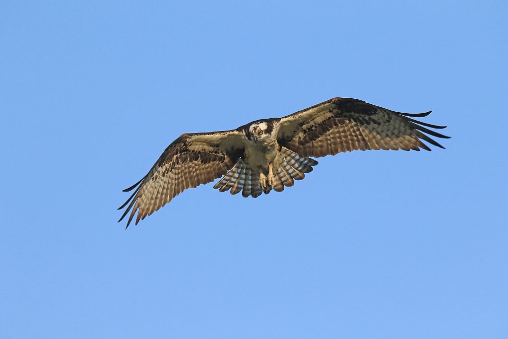 IMAGE: http://i812.photobucket.com/albums/zz47/squirl035/IMG_0059%20sm.jpg