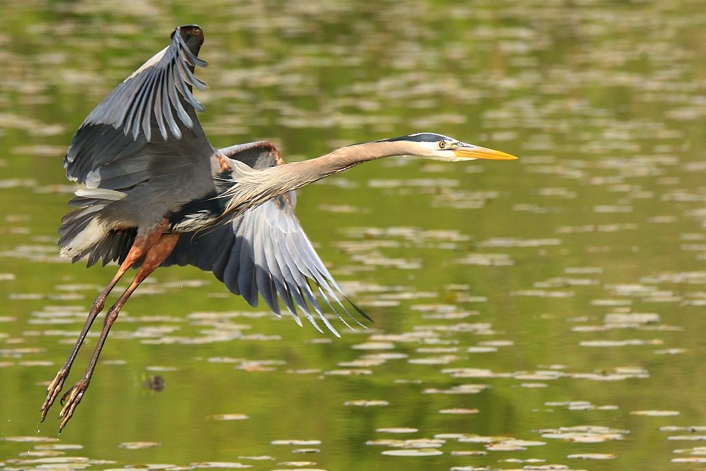 IMAGE: http://i812.photobucket.com/albums/zz47/squirl035/IMG_0810%20sm.jpg