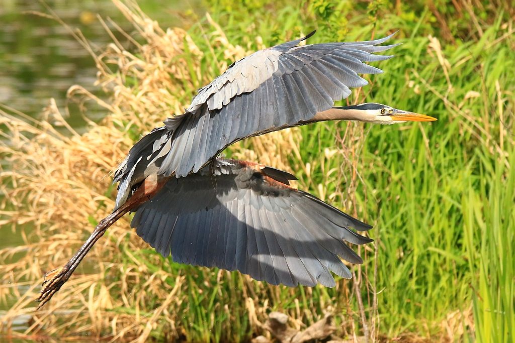 IMAGE: http://i812.photobucket.com/albums/zz47/squirl035/IMG_0813%20sm.jpg