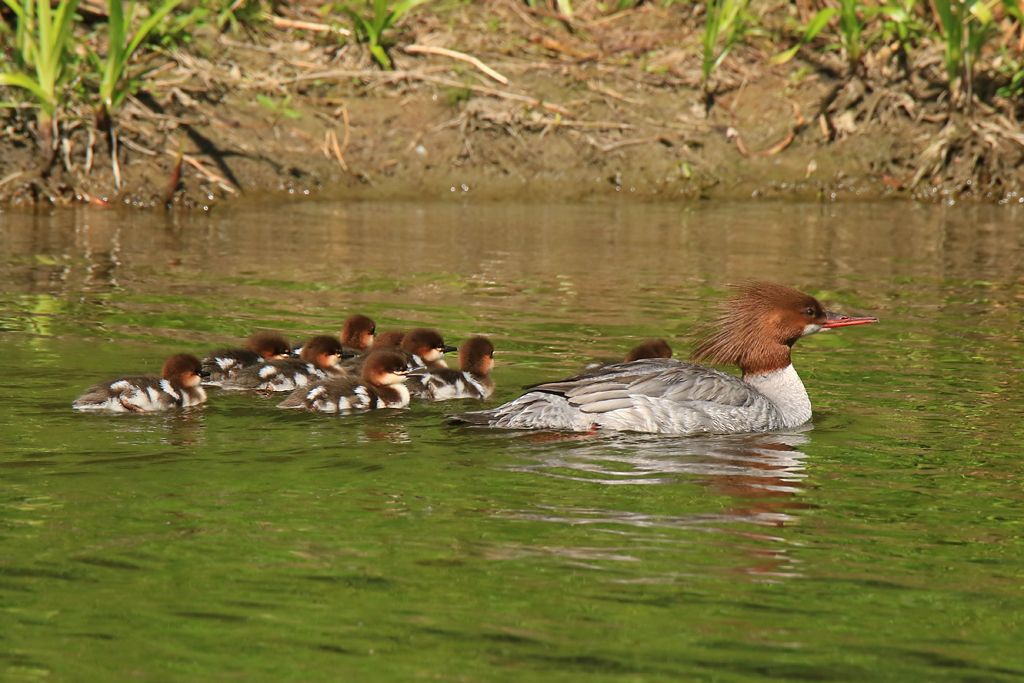 IMAGE: http://i812.photobucket.com/albums/zz47/squirl035/IMG_4598_filtered%20sm.jpg