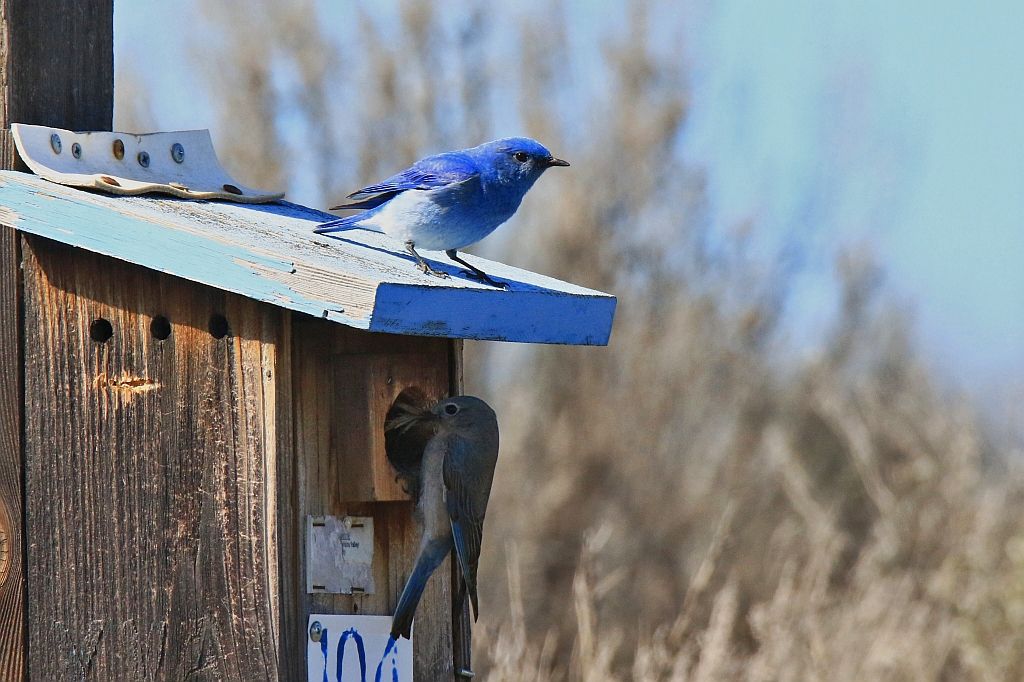 IMAGE: http://i812.photobucket.com/albums/zz47/squirl035/IMG_7963%20sm.jpg