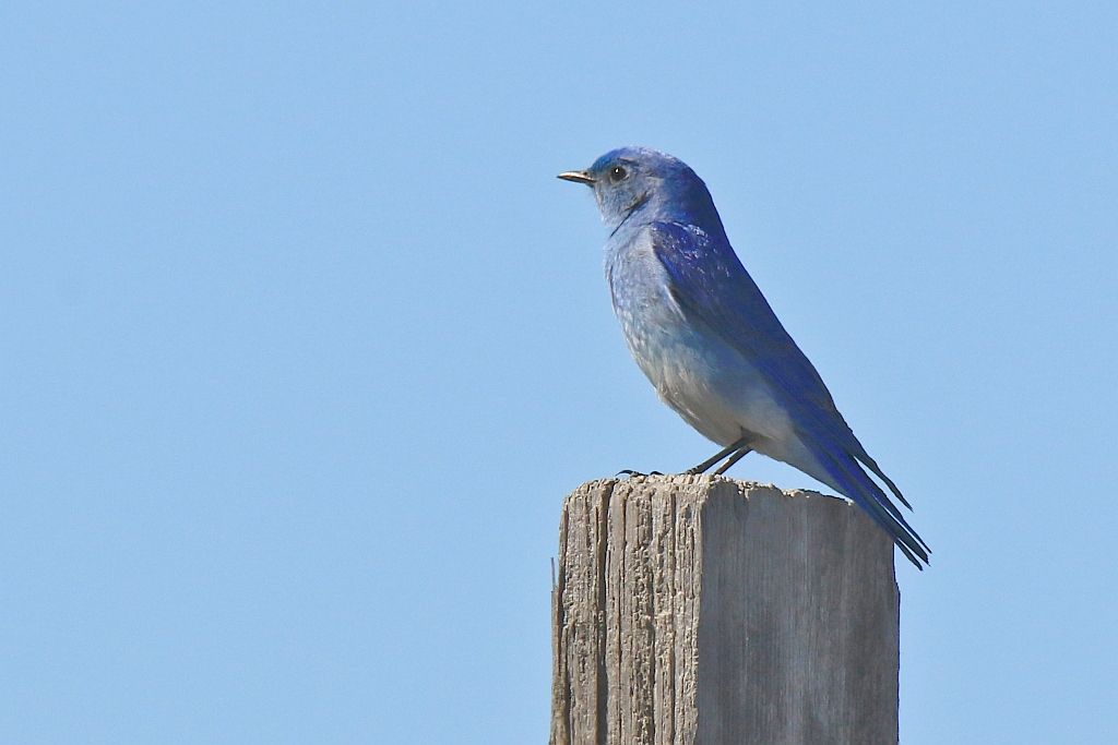 IMAGE: http://i812.photobucket.com/albums/zz47/squirl035/IMG_8042%20sm.jpg