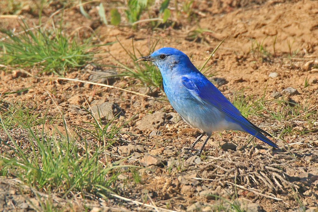 IMAGE: http://i812.photobucket.com/albums/zz47/squirl035/IMG_8113%20sm.jpg