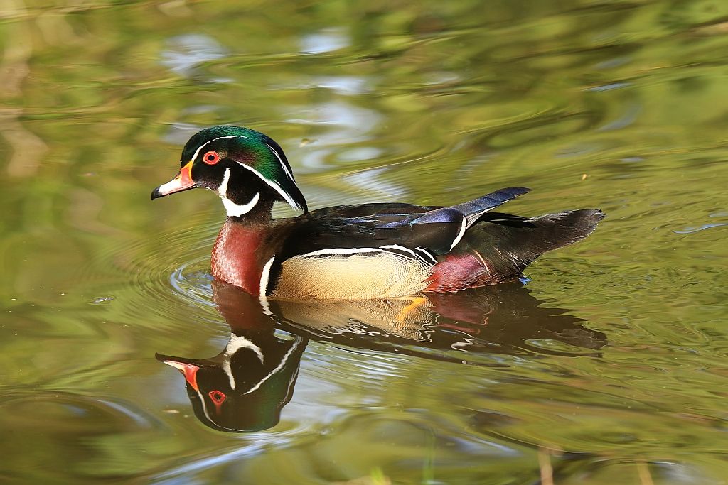 IMAGE: http://i812.photobucket.com/albums/zz47/squirl035/IMG_9652%20sm.jpg