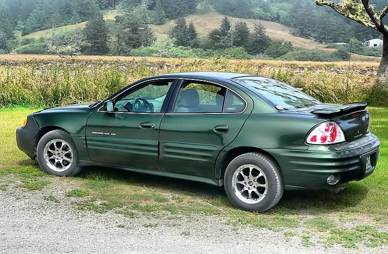 IMAGE: http://i812.photobucket.com/albums/zz47/squirl035/P1120930_filtered.jpg