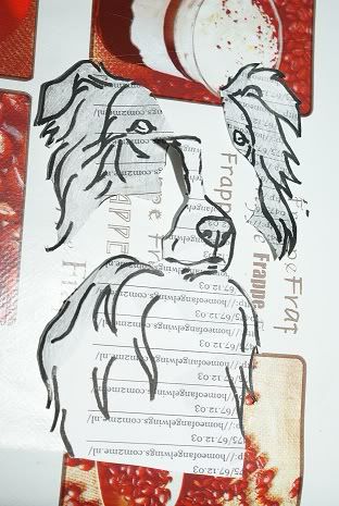http://i812.photobucket.com/albums/zz48/border_collie_foto/DSC03866.jpg