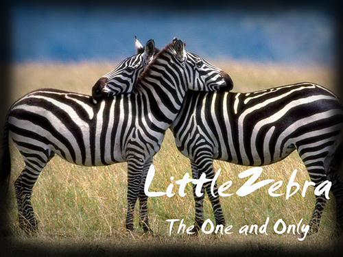 zebras.png