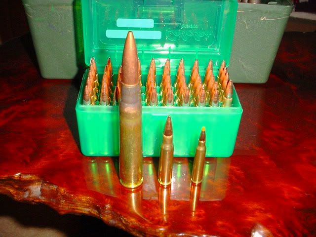 50BMGAmmojpg.jpg
