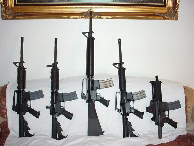 Lwrc Assault Rifles