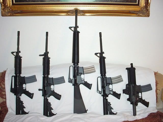 BushmasterAR-15s.jpg