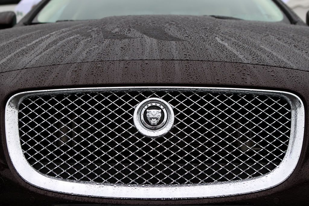 JAGUAR Experience Photobucket