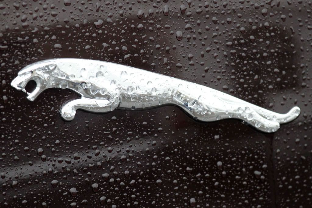 JAGUAR Experience Photobucket