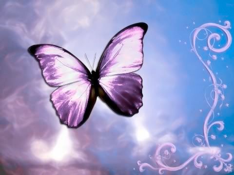 pink butterfly wallpaper. utterfly wallpaper.