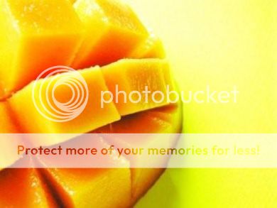 Pure HIGH QUALITY INDIAN MANGO BUTTER *FRESH* CREAMY 250 grams soap