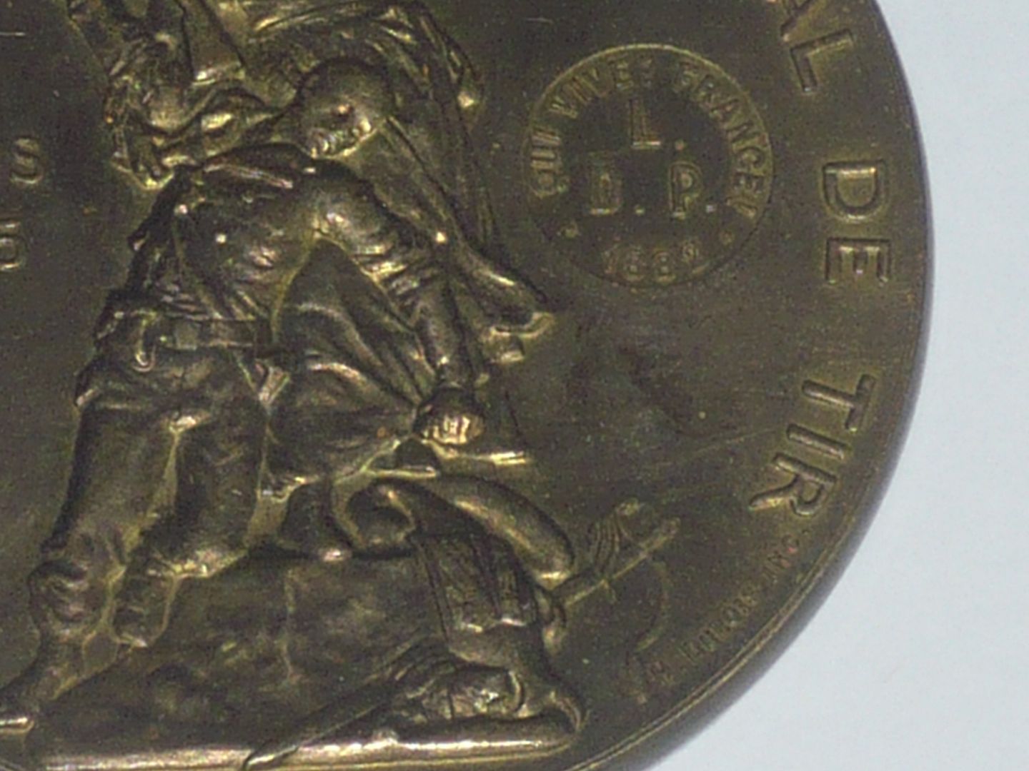  photo P2460242_zpsvgjpoehq.jpg