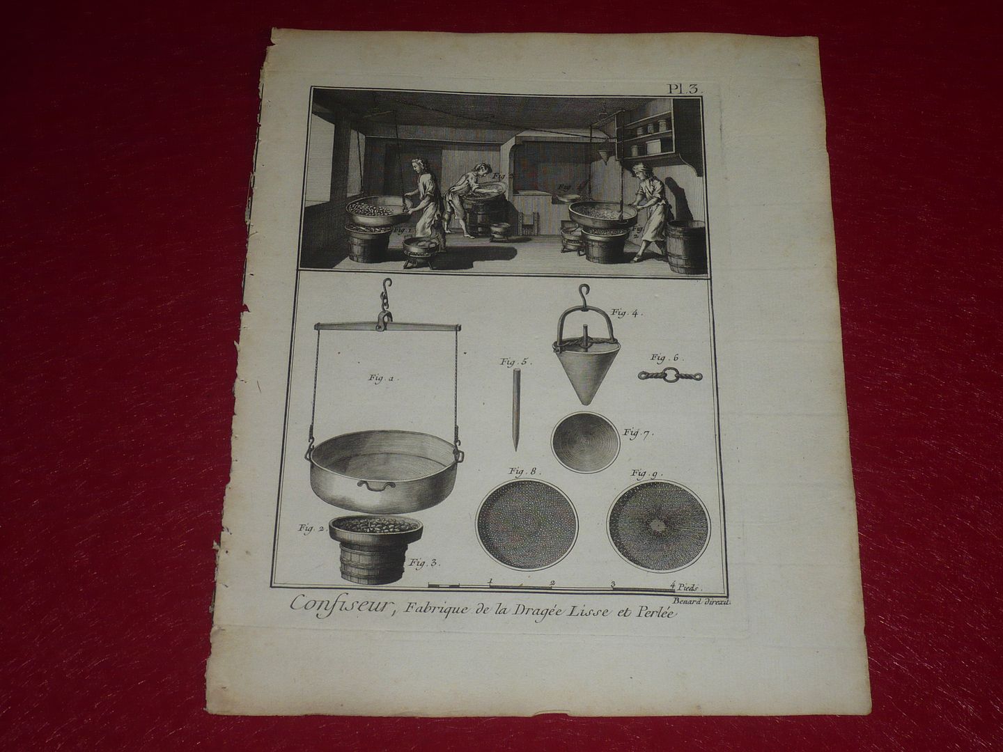  Foto p2880510_zpszw0vmld9.jpg