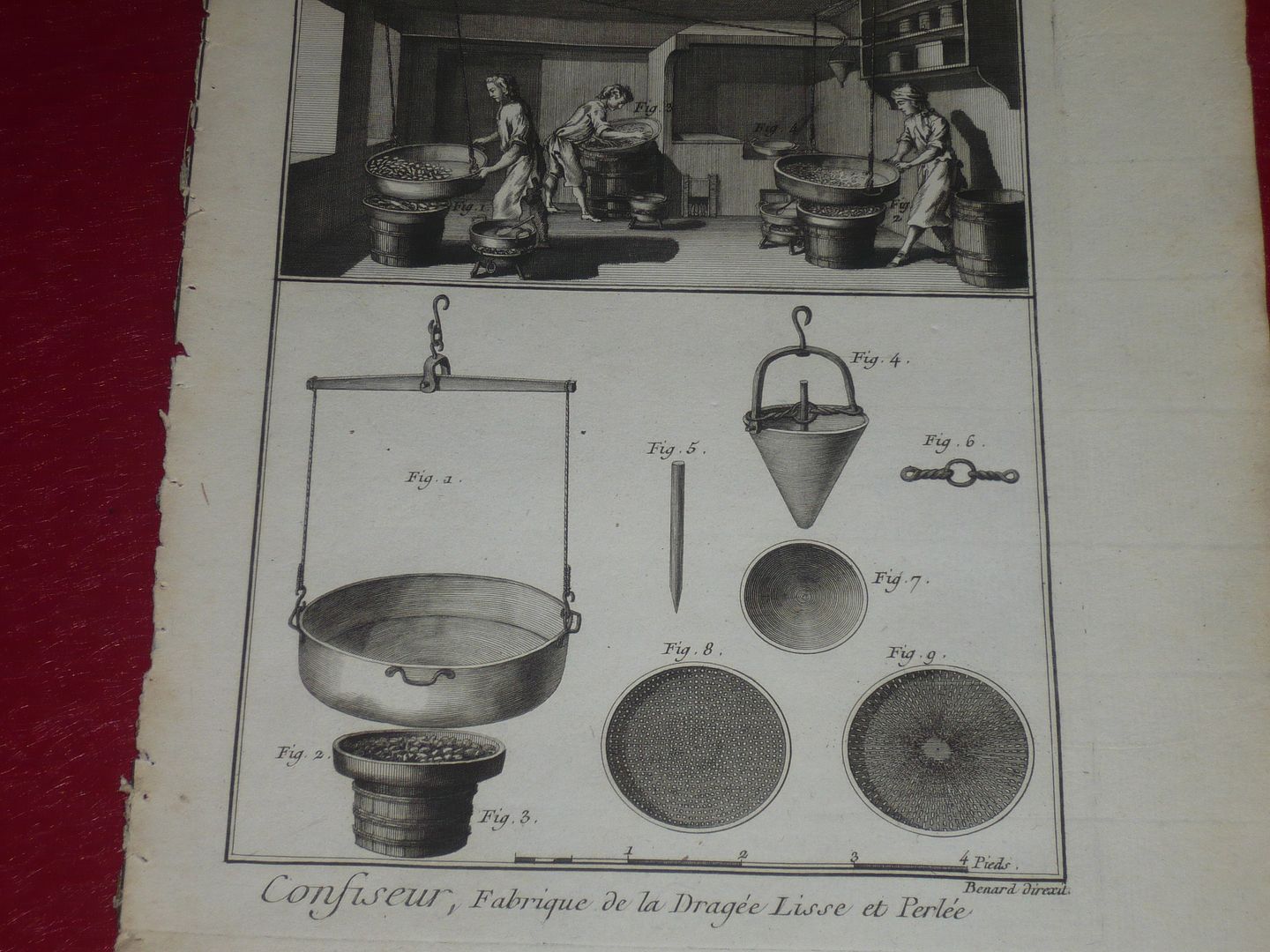  Foto P2880511_ZPS3XSTIZ9F.JPG