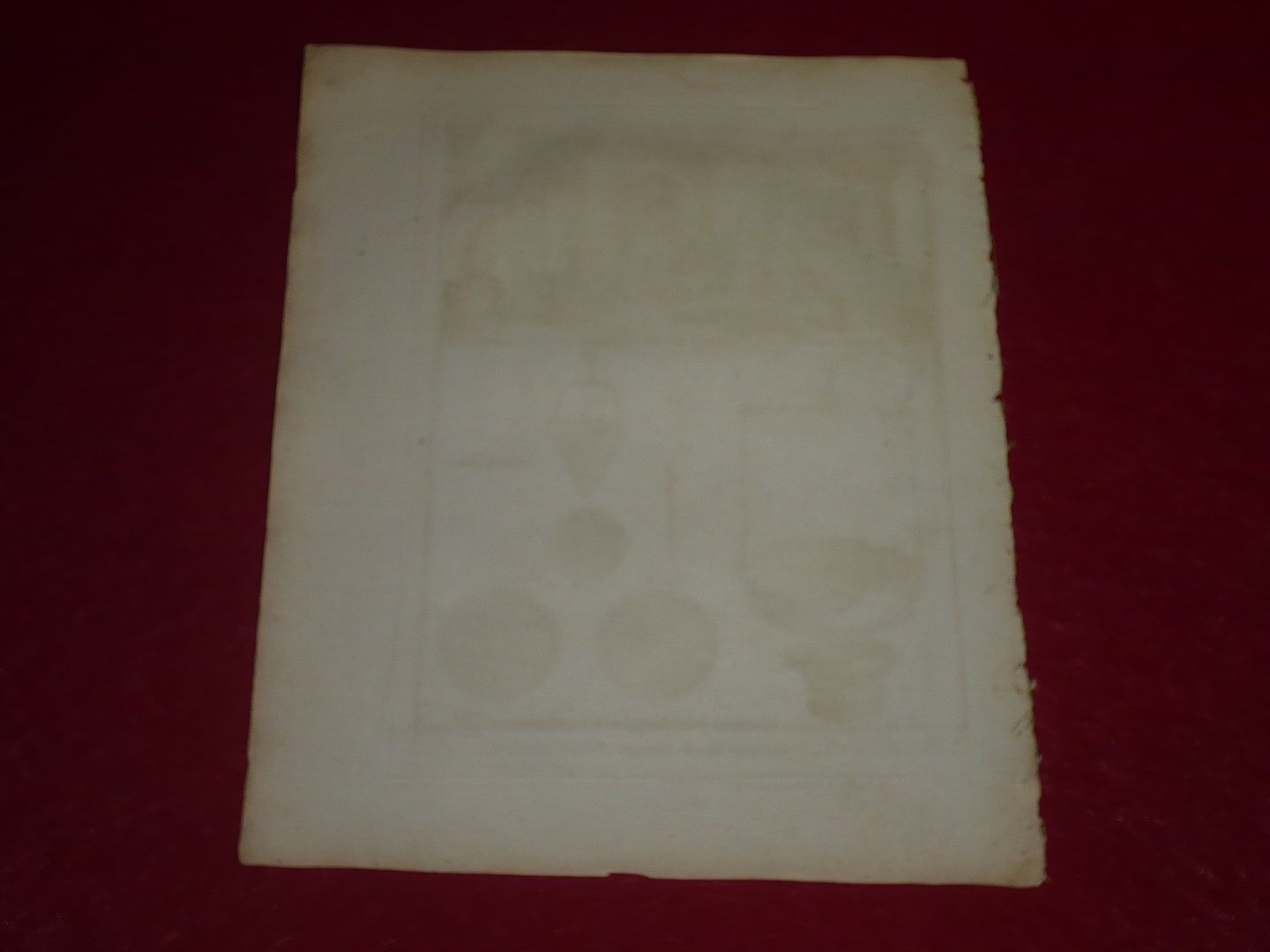  Foto P2880512_ZPSME1WLNCM.JPG