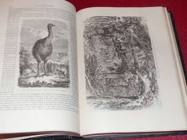  photo P2100683_zpsdzpf9d3w.jpg